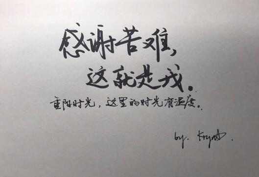 读《感谢苦难》有感2000字