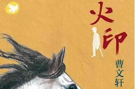 读《火印》有感600字