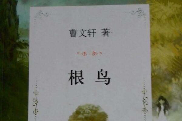 [追梦少年小说李恒]追梦少年——《根鸟》的读后感500字