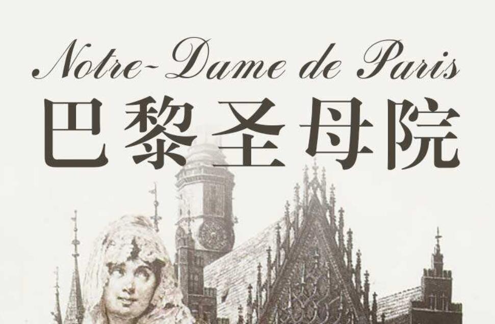 巴黎圣母院读后感600字