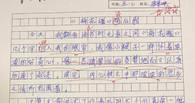 爱国与思乡——《梅花魂》读后感600字.jpg