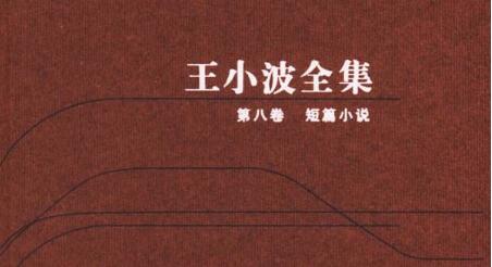 王小波短篇小说《这辈子》读后感1000字.jpg