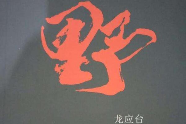 龙应台《野火集》读后感1000字.jpg