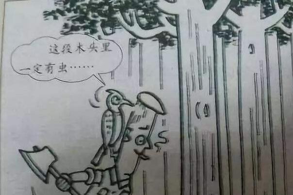 《这段木头里一定有虫》读后感500字.jpg