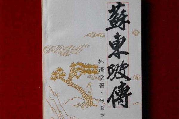 神骨难肖苏东坡——苏东坡传读后感1500字.jpg