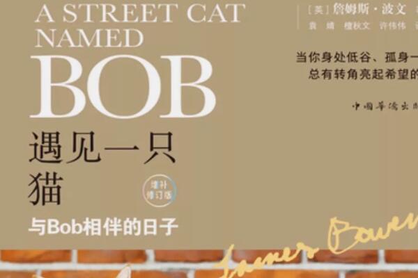 《遇见一只猫》读后感400字.jpg