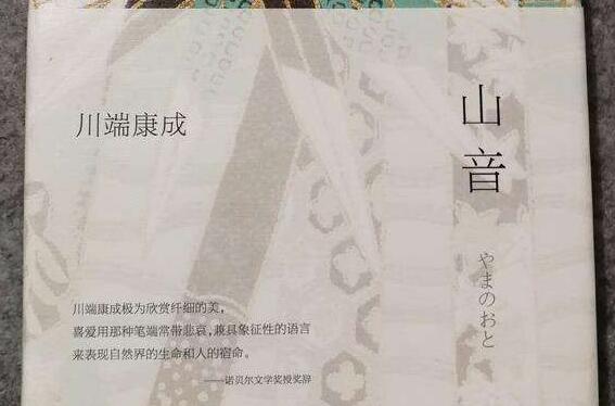 《山音》读后感500字.jpg