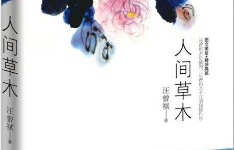 《人间草木》读后感1000字.jpg