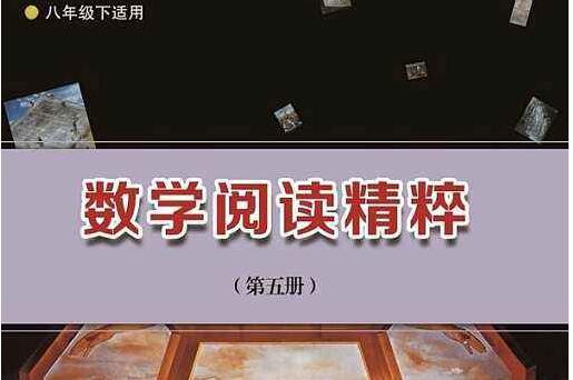 《数学阅读精粹》读后感400字