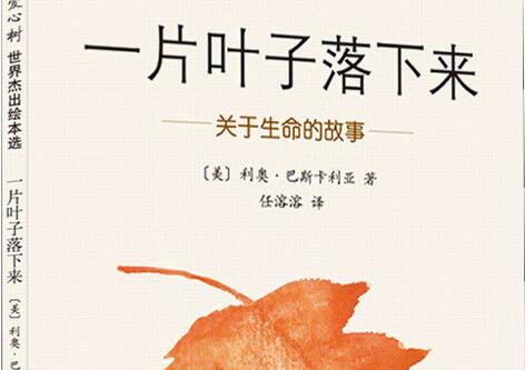 《一片叶子落下来》读后感300字作文.jpg