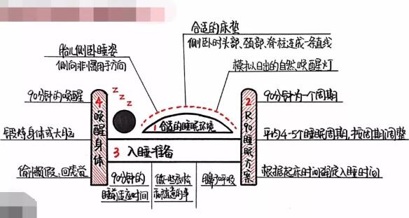 《睡眠的革命》读后感1000字.jpg