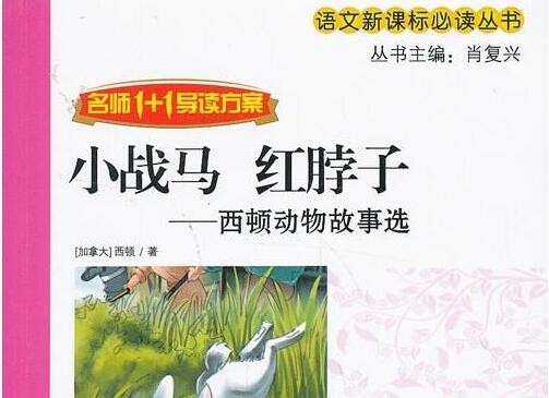《小战马·红脖子》读后感1000字.jpg