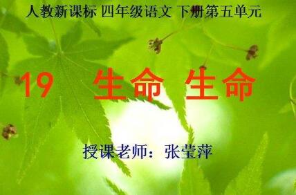 《生命 生命》读后感400字.jpg