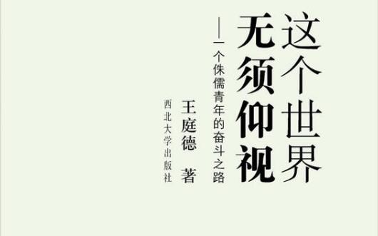 《这个世界无须仰视》读后感400字.jpg