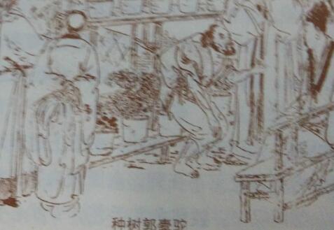 《种树郭橐驼传》读后感1000字.jpg