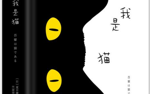 《我是猫》读后感1000字.jpg