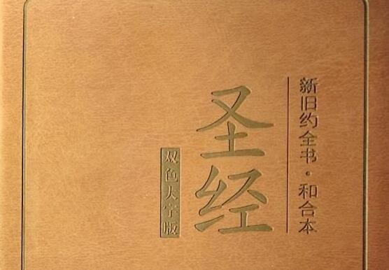 《圣经》读后感1000字.jpg