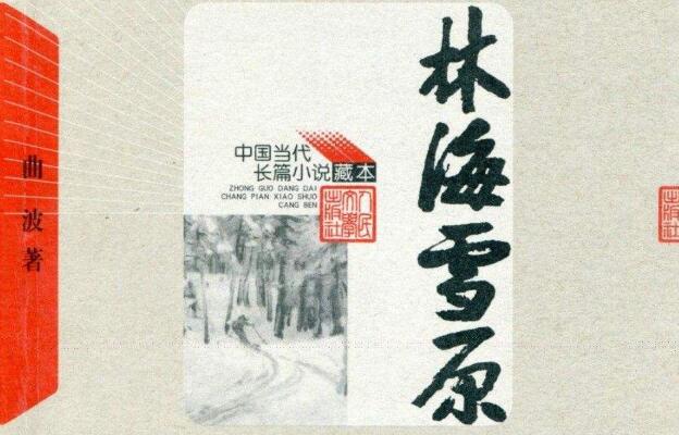 《林海雪原》读后感1000字.jpg