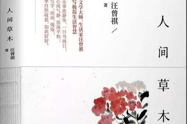 《人间草木》读后感800字.jpg