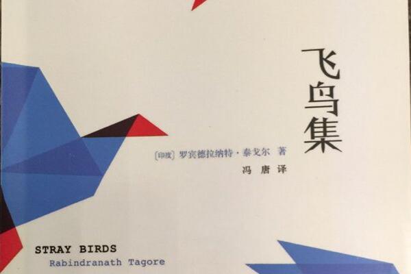 飞鸟集读书笔记摘抄好词好句及感悟赏析.jpg