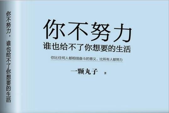 《你不努力谁也给不了你想要的生活》读后感1000字.jpg