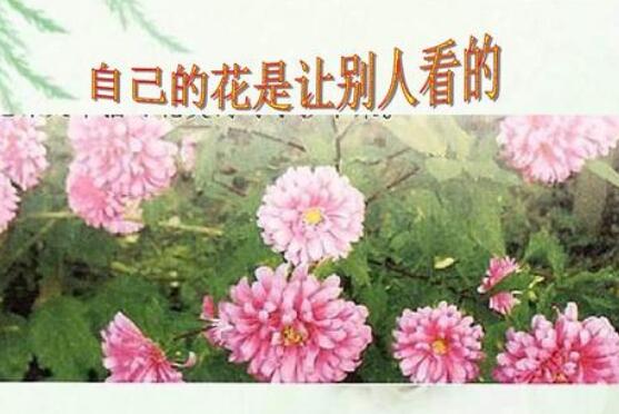 读《自己的花是让别人看的》有感500字.jpg