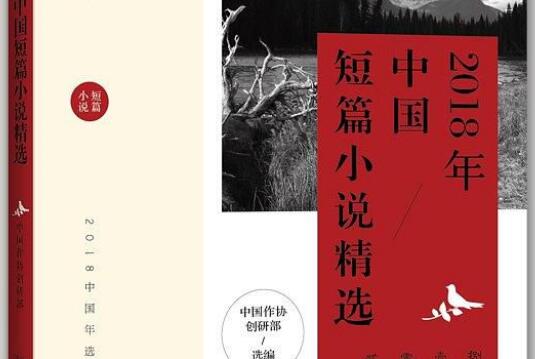 《2018中国短篇小说年选》-唯有大海不悲伤读后感600字.jpg