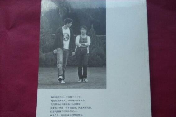 《亲爱的安德鲁》读后感600字.jpg