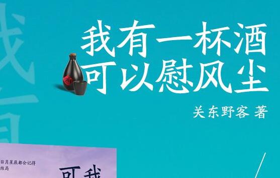 《我有一杯酒 可以慰风尘》书籍.jpg