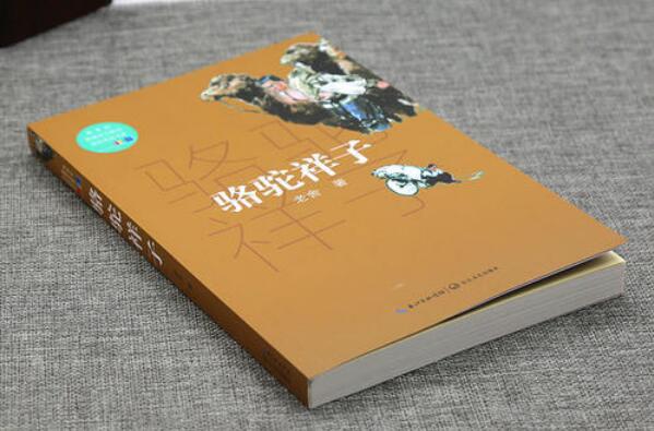 《骆驼样子》书籍.jpg