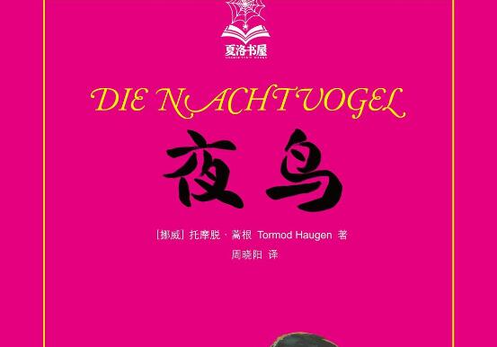 《夜鸟》书籍.jpg